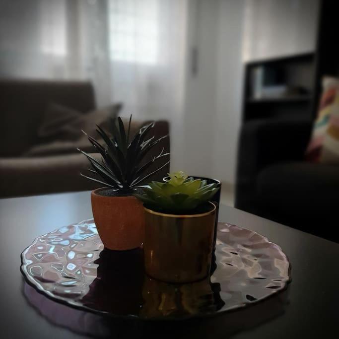Casa Publicola Apartment Рим Екстериор снимка